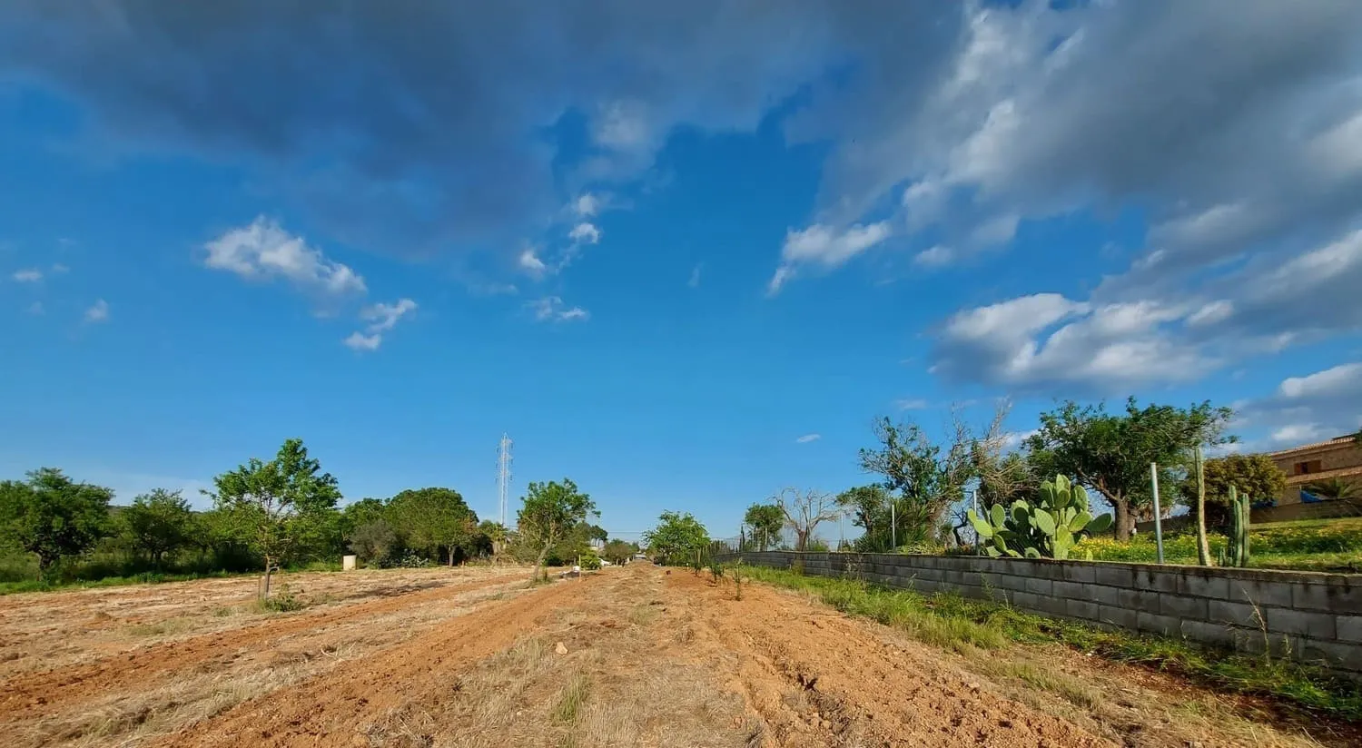Preparación campo 8